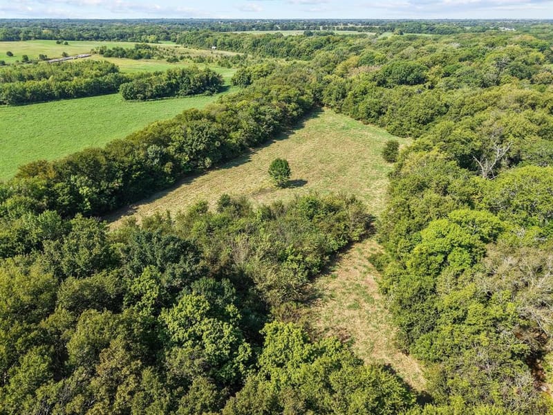 11731 NW State Highway 11, Whitewright TX 75491 - Photo 34