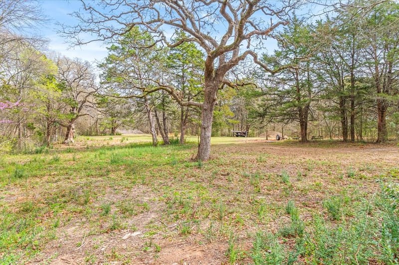 700 Amy Street, Canton TX 75103 - Photo 31