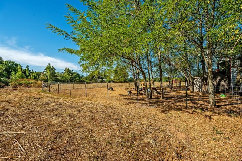 267 Delphia Drive, Denison TX 75021 - Photo 5