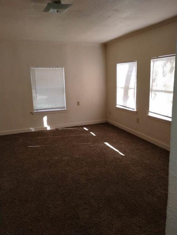552 Ella Avenue, Dallas TX 75217 - Photo 12