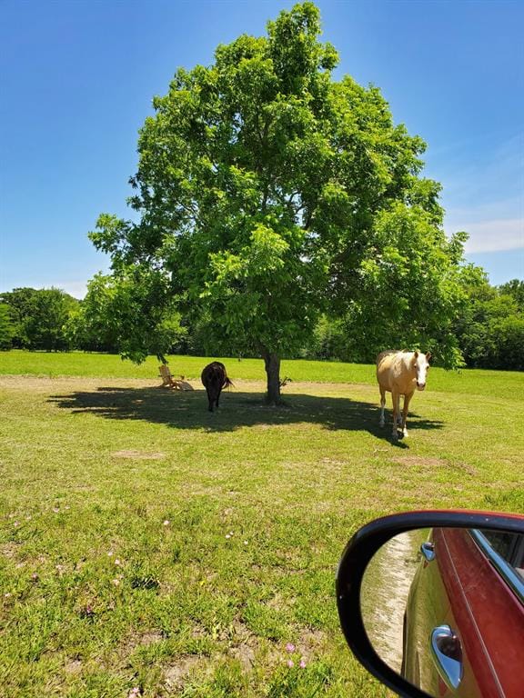 7263 State Highway 276, Point TX 75472 - Photo 27