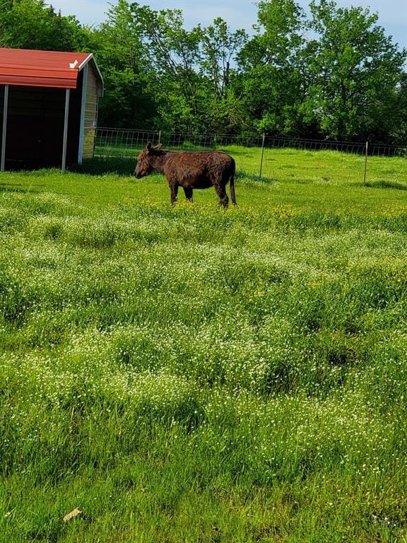 7263 State Highway 276, Point TX 75472 - Photo 29