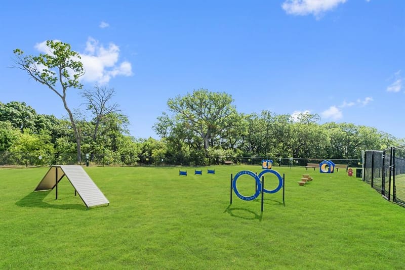 1009 Butterfly Lane, Justin TX 76247 - Photo 11
