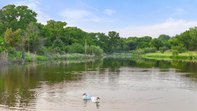 103 Oak Grove Lane, Boyd TX 76023 - Photo 38