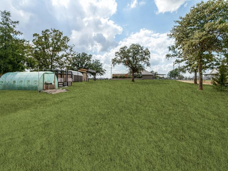 139 Brown Lane, Poolville TX 76487 - Photo 24