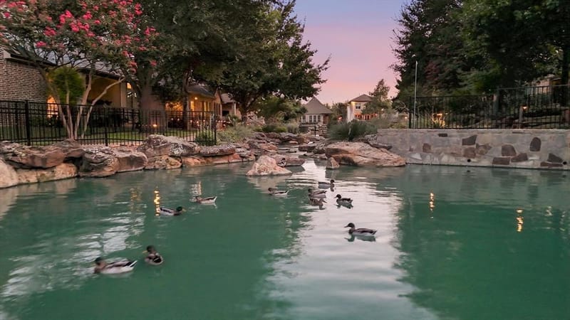 6108 Heron Bay Lane, McKinney TX 75070 - Photo 5