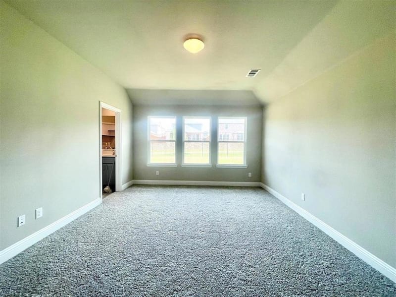 809 Tartane Drive, Anna TX 75409 - Photo 16