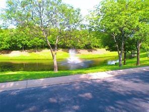 918 Bridges Drive, Arlington TX 76012 - Photo 6