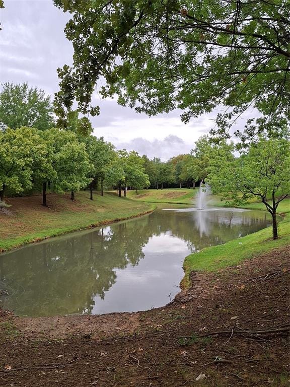 918 Bridges Drive, Arlington TX 76012 - Photo 20