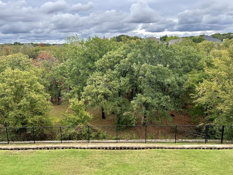 3110 Creek Haven Drive, Highland Village TX 75077 - Photo 29