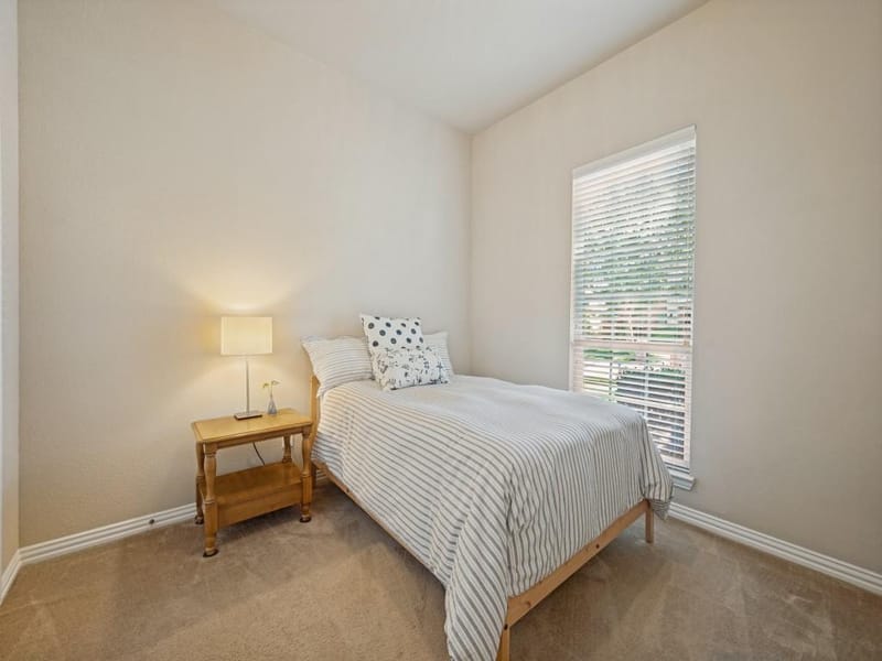 11003 Saguaro Street, Frisco TX 75033 - Photo 23