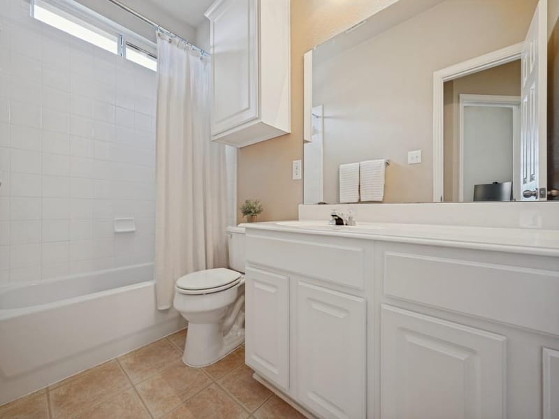 11003 Saguaro Street, Frisco TX 75033 - Photo 25