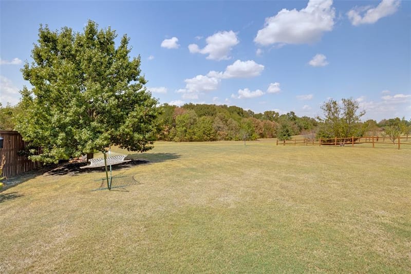 2007 Stonecrest Trail, Wylie TX 75098 - Photo 19