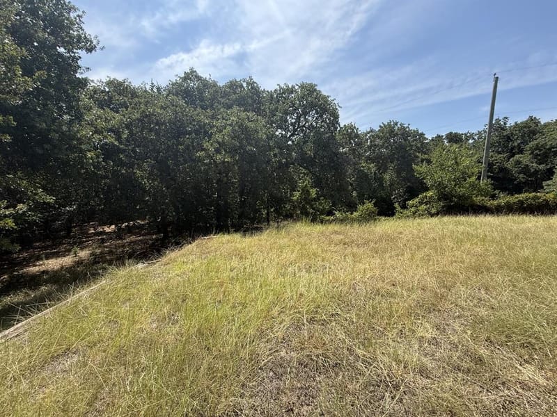 326 King Arthur Drive, Weatherford TX 76086 - Photo 14