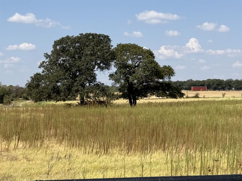 986 County Road 1785, Sunset TX 76270 - Photo 11
