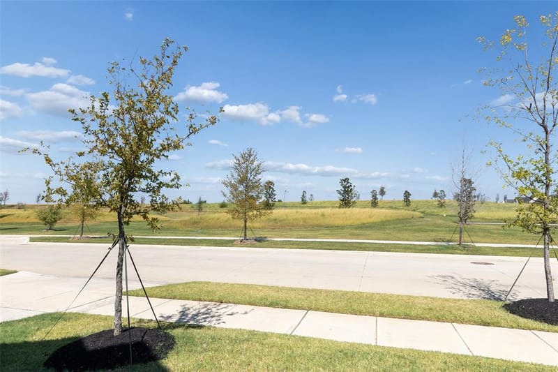 4208 Sunrise Lane, Celina TX 75078 - Photo 37