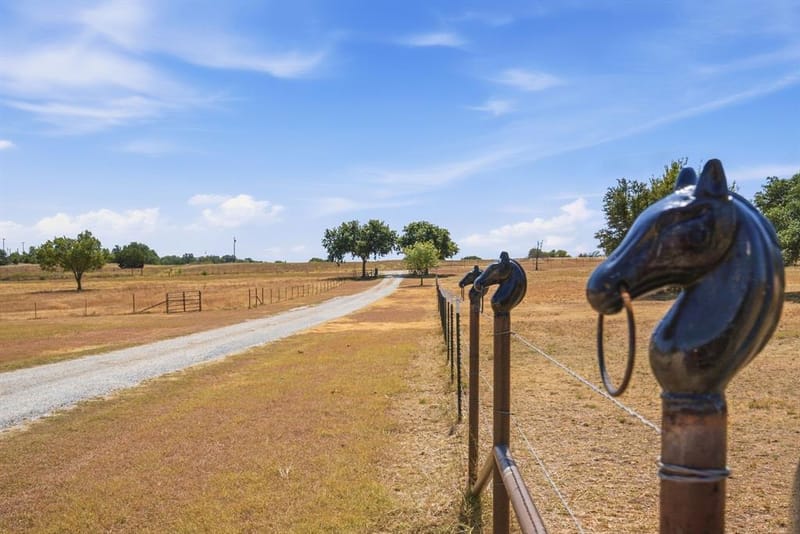 100 Shadle Ridge Court, Poolville TX 76487 - Photo 29