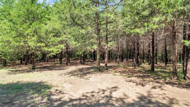 1011 Sister Grove Road, Van Alstyne TX 75495 - Photo 31
