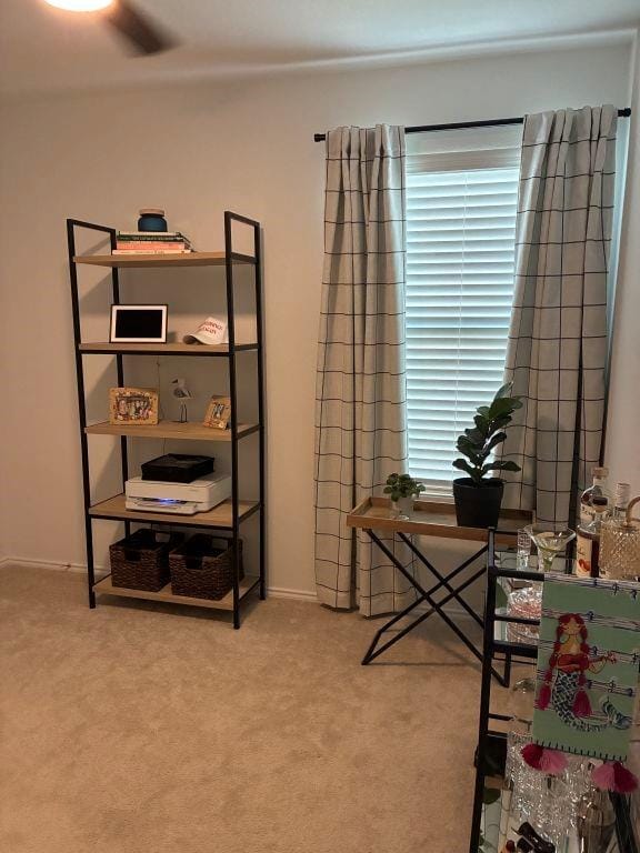 155 Sesame Lane, Princeton TX 75407 - Photo 18