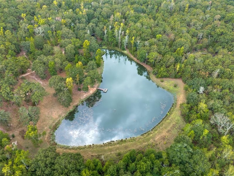 1522 Fm 17, Grand Saline TX 75140 - Photo 2