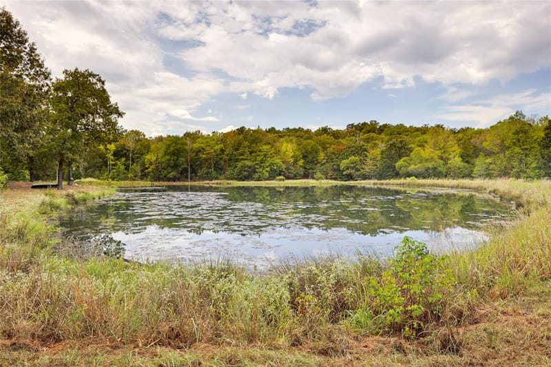 1522 Fm 17, Grand Saline TX 75140 - Photo 4