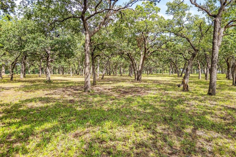 3019 Orchard Road, Bowie TX 76230 - Photo 36