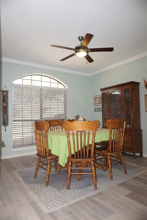 1408 Overlook Drive, Kaufman TX 75142 - Photo 6