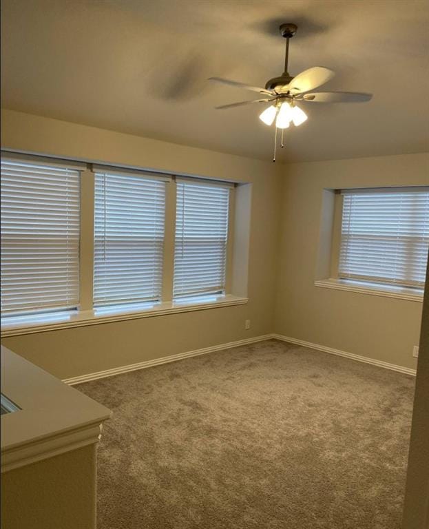 1120 Canterbury Lane, Forney TX 75126 - Photo 13