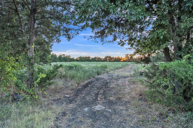 4300 County Road 4640, Trenton TX 75490 - Photo 25