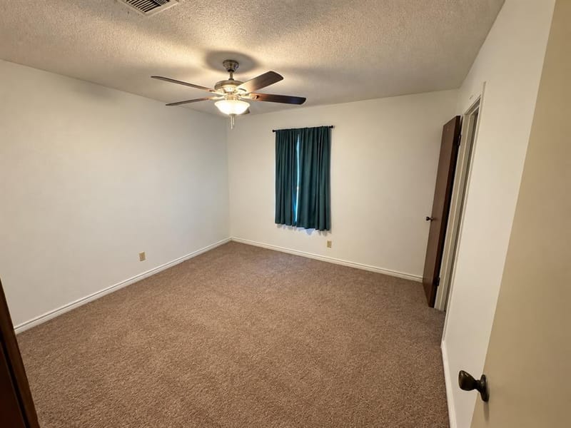 225 Elizabeth Lane, Blossom TX 75416 - Photo 13