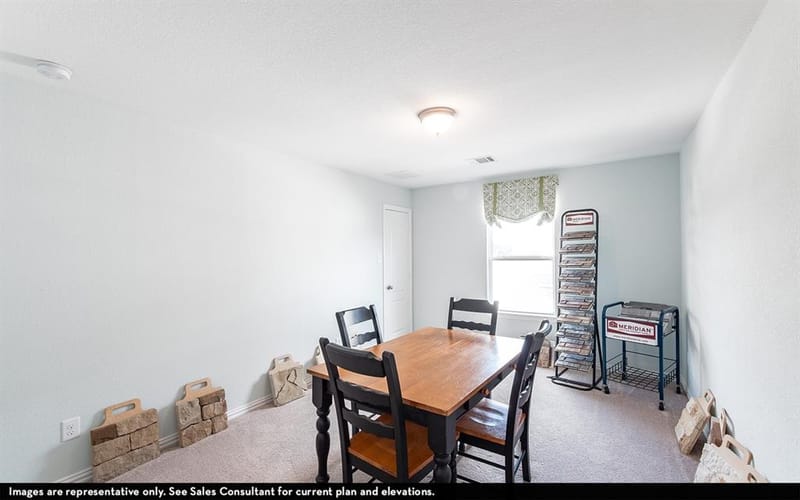 16212 Flatlands Way, Celina TX 75009 - Photo 12