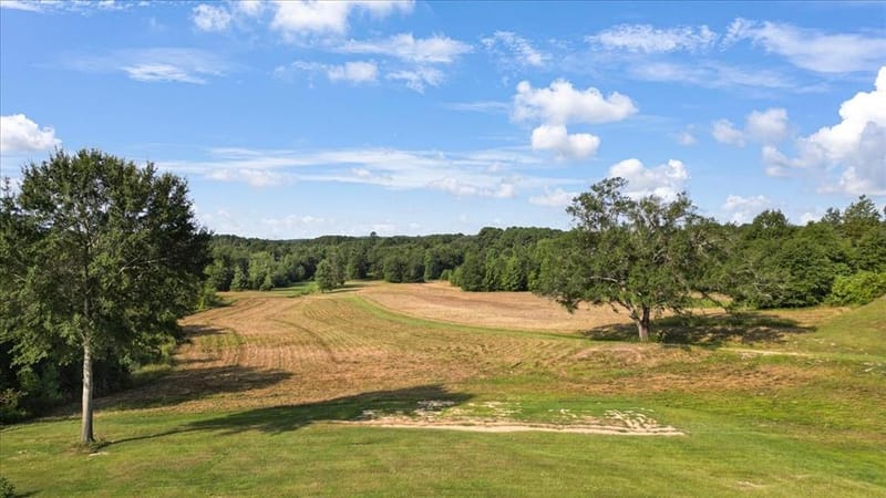 102 Private Road 3174, Gilmer TX 75644 - Photo 3