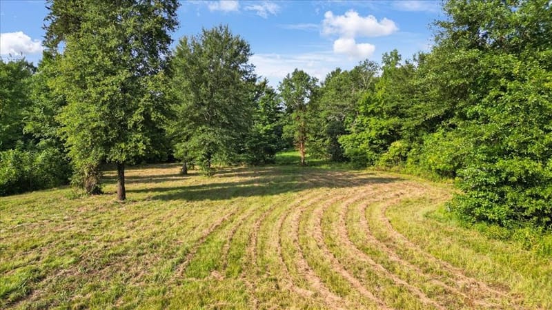 102 Private Road 3174, Gilmer TX 75644 - Photo 32