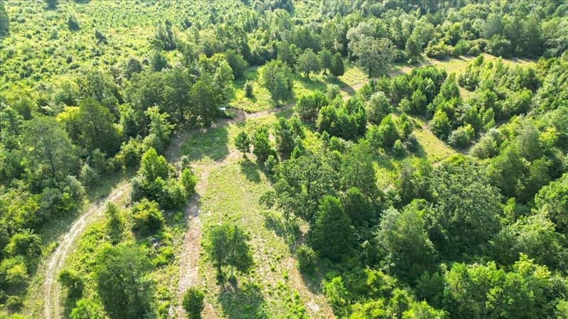 102 Private Road 3174, Gilmer TX 75644 - Photo 28