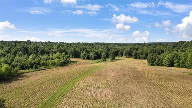102 Private Road 3174, Gilmer TX 75644 - Photo 30