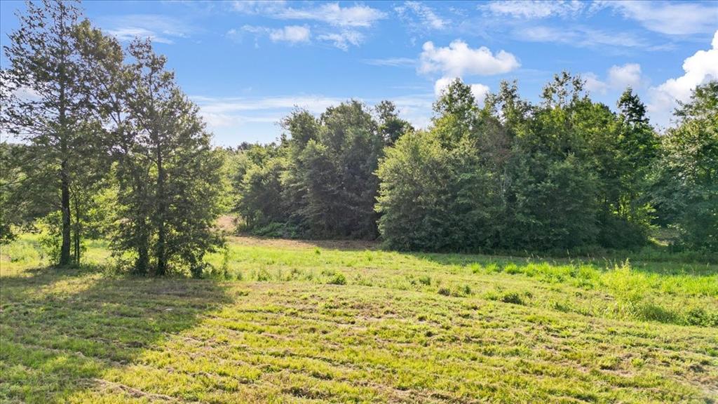 102 Private Road 3174, Gilmer TX 75644 - Photo 33
