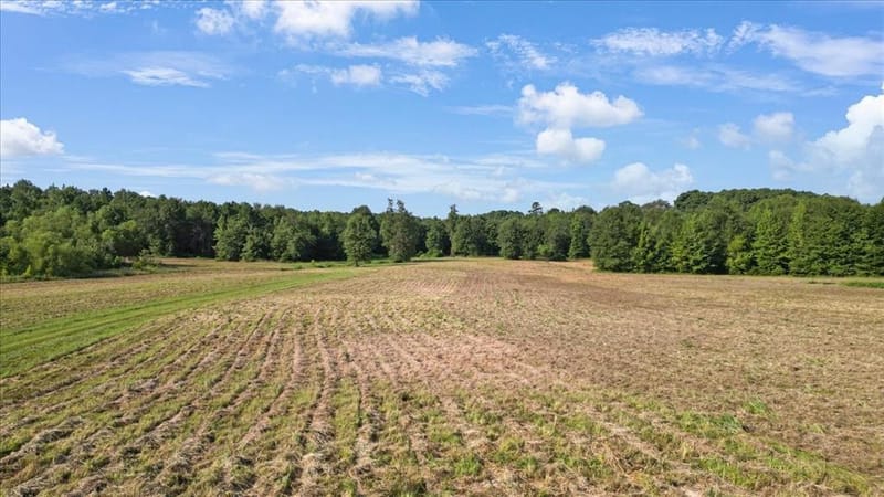 102 Private Road 3174, Gilmer TX 75644 - Photo 31