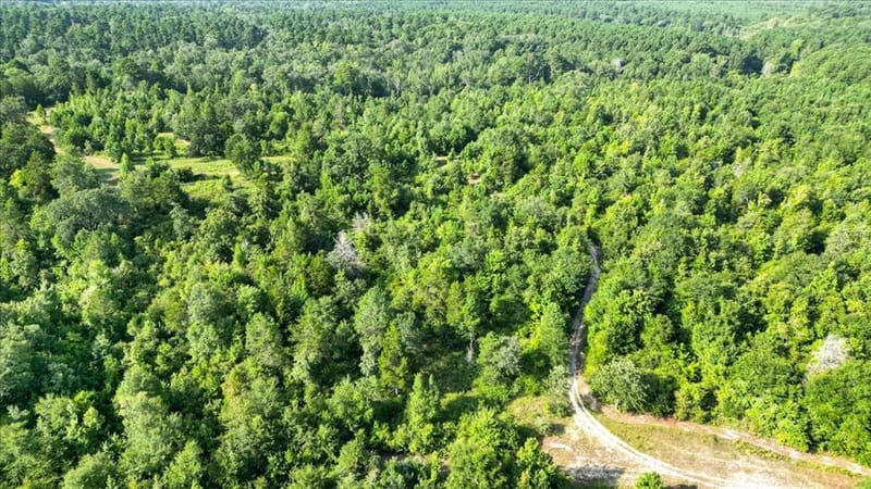102 Private Road 3174, Gilmer TX 75644 - Photo 29