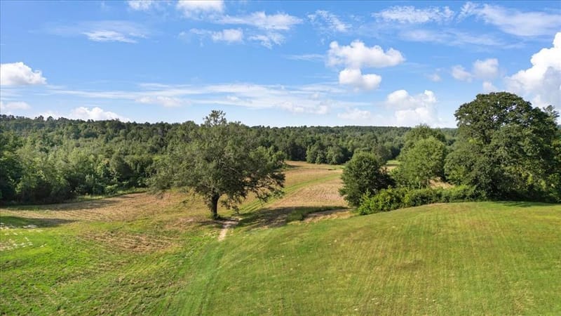 102 Private Road 3174, Gilmer TX 75644 - Photo 4