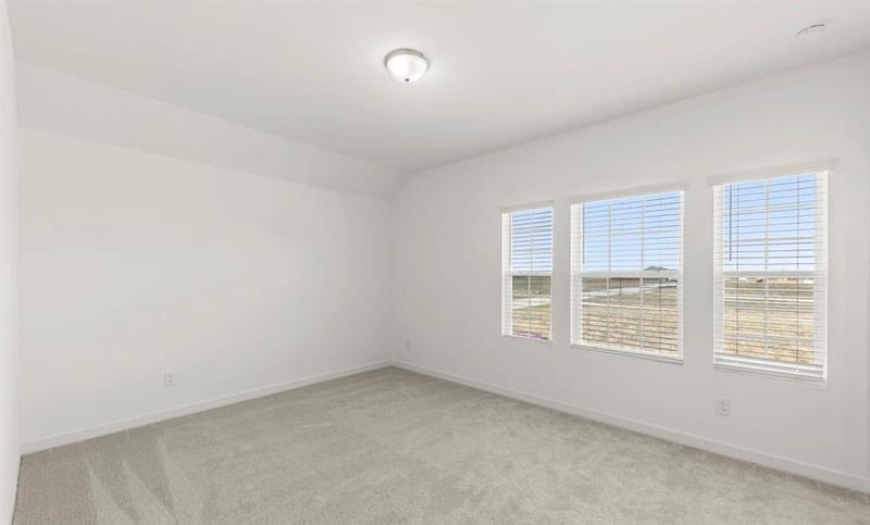 637 Tyronza Drive, Justin TX 76247 - Photo 23