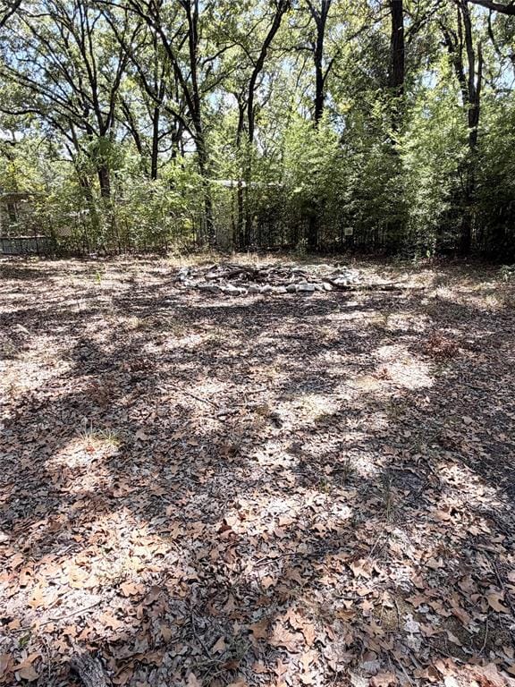 107 Meadowlark Lane, Mabank TX 75156 - Photo 24