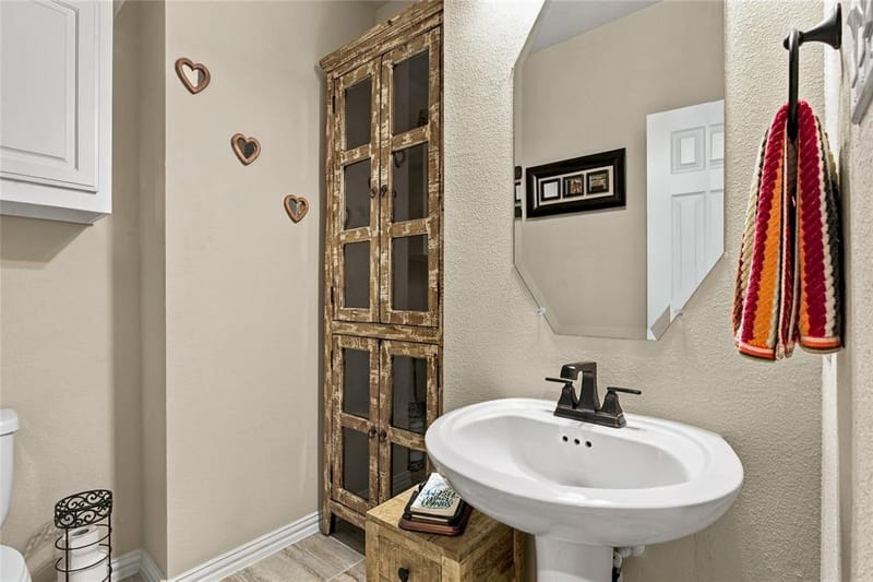 2431 Lusitano Lane, Celina TX 75009 - Photo 16