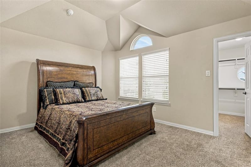 2431 Lusitano Lane, Celina TX 75009 - Photo 20