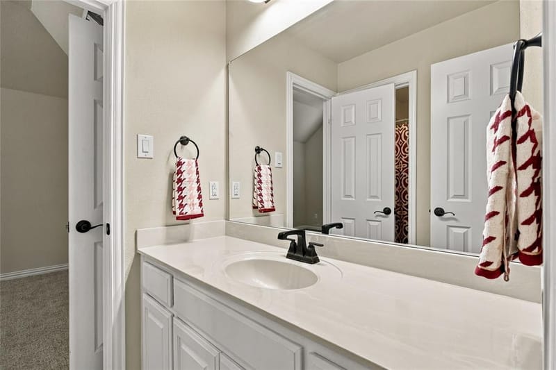2431 Lusitano Lane, Celina TX 75009 - Photo 21