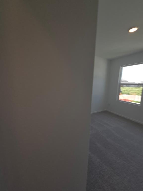 14218 Marion Downs Trail, Pilot Point TX 76258 - Photo 17