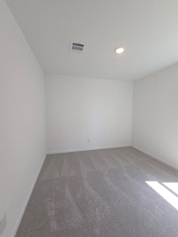 14218 Marion Downs Trail, Pilot Point TX 76258 - Photo 15