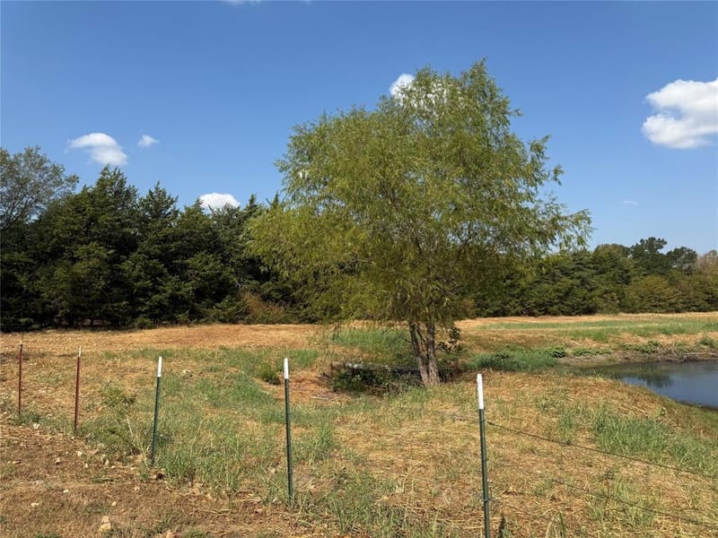 1474 County Road 3370, Ladonia TX 75449 - Photo 10
