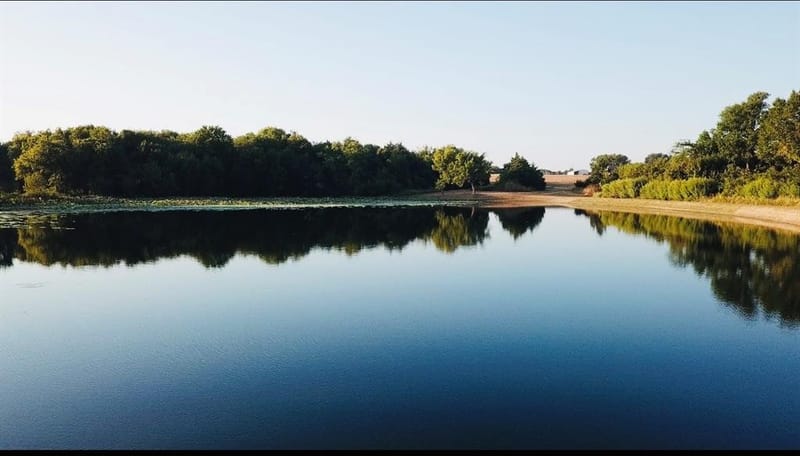 17311 E HWY 82 Hwy 82 E, Honey Grove TX 75446 - Photo 14