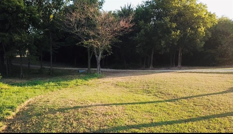 17311 E HWY 82 Hwy 82 E, Honey Grove TX 75446 - Photo 15
