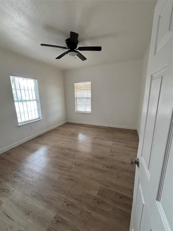 4302 Montie Street, Dallas TX 75210 - Photo 3